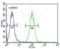 Natriuretic Peptide Receptor 3 antibody, orb125235, Biorbyt, Flow Cytometry image 