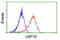 Ubiquitin carboxyl-terminal hydrolase 10 antibody, LS-C173656, Lifespan Biosciences, Flow Cytometry image 