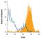 Endothelial Cell Adhesion Molecule antibody, PA5-47368, Invitrogen Antibodies, Flow Cytometry image 