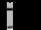 Nicastrin antibody, GTX02346, GeneTex, Immunoprecipitation image 