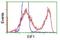 Eukaryotic Translation Initiation Factor 1 antibody, NBP2-00702, Novus Biologicals, Flow Cytometry image 