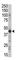 Protein Kinase CAMP-Dependent Type II Regulatory Subunit Beta antibody, abx033147, Abbexa, Western Blot image 