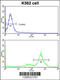 Chaperonin Containing TCP1 Subunit 3 antibody, 61-581, ProSci, Flow Cytometry image 