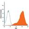 Slit homolog 2 protein antibody, MAB5444, R&D Systems, Flow Cytometry image 