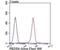 Peroxiredoxin 6 antibody, NBP2-75615, Novus Biologicals, Flow Cytometry image 