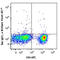 IL-4 antibody, 504119, BioLegend, Immunocytochemistry image 