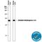 Aldehyde Dehydrogenase 1 Family Member A1 antibody, AF5869, R&D Systems, Western Blot image 