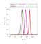 TNF Receptor Superfamily Member 25 antibody, 702277, Invitrogen Antibodies, Flow Cytometry image 