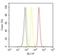 Adenosine A1 Receptor antibody, NB300-549, Novus Biologicals, Flow Cytometry image 