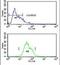 Integrin Subunit Alpha 5 antibody, PA5-25433, Invitrogen Antibodies, Flow Cytometry image 