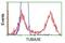 Tubulin Alpha 3e antibody, GTX83467, GeneTex, Flow Cytometry image 