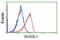 SH3 Domain Containing GRB2 Like 1, Endophilin A2 antibody, NBP2-02834, Novus Biologicals, Flow Cytometry image 