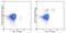 Interleukin 3 Receptor Subunit Alpha antibody, 45-1239-42, Invitrogen Antibodies, Flow Cytometry image 