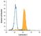 Calreticulin 3 antibody, MAB2927, R&D Systems, Flow Cytometry image 