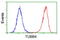 Tubulin Beta 4A Class IVa antibody, LS-B13036, Lifespan Biosciences, Flow Cytometry image 