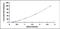 Cholecystokinin antibody, MBS2024917, MyBioSource, Enzyme Linked Immunosorbent Assay image 