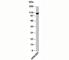 Importin 9 antibody, N1128-100UG, NSJ Bioreagents, Western Blot image 