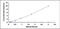 TNF Alpha Induced Protein 6 antibody, MBS2024660, MyBioSource, Enzyme Linked Immunosorbent Assay image 