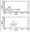 Glutamate-Cysteine Ligase Modifier Subunit antibody, PA5-26111, Invitrogen Antibodies, Flow Cytometry image 