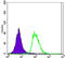 POU Class 5 Homeobox 1 antibody, abx016067, Abbexa, Enzyme Linked Immunosorbent Assay image 