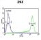 Peroxiredoxin 6 antibody, abx031801, Abbexa, Flow Cytometry image 