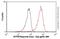 Karyopherin Subunit Beta 1 antibody, ab2811, Abcam, Flow Cytometry image 