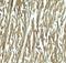 HOP Homeobox antibody, LS-C336273, Lifespan Biosciences, Immunohistochemistry paraffin image 