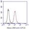 Glypican 4 antibody, GTX16498, GeneTex, Flow Cytometry image 