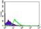 Transforming Growth Factor Beta Receptor 3 antibody, MA5-17187, Invitrogen Antibodies, Flow Cytometry image 