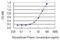 Hemopexin antibody, H00003263-M01, Novus Biologicals, Enzyme Linked Immunosorbent Assay image 