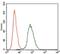 Casein Kinase 2 Alpha 1 antibody, NBP2-37457, Novus Biologicals, Flow Cytometry image 