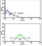 CNDP1 antibody, PA5-26174, Invitrogen Antibodies, Flow Cytometry image 