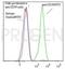 CD59 Molecule (CD59 Blood Group) antibody, 691597, Progen Biotechnik GmbH, Flow Cytometry image 