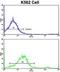 Lipin 2 antibody, GTX81160, GeneTex, Flow Cytometry image 