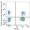 C-X3-C Motif Chemokine Receptor 1 antibody, 341622, BioLegend, Flow Cytometry image 