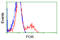 Cytochrome P450 Oxidoreductase antibody, LS-C114707, Lifespan Biosciences, Flow Cytometry image 