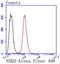 Nuclear Receptor Binding SET Domain Protein 3 antibody, NBP2-67674, Novus Biologicals, Flow Cytometry image 