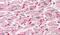 Junction Plakoglobin antibody, PA5-18064, Invitrogen Antibodies, Immunohistochemistry frozen image 