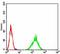 Transmembrane And Coiled-Coil Domains 1 antibody, orb325475, Biorbyt, Flow Cytometry image 