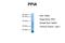 Peptidylprolyl Isomerase A antibody, NBP1-54388, Novus Biologicals, Western Blot image 