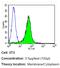 Mucin 2, Oligomeric Mucus/Gel-Forming antibody, MA5-12345, Invitrogen Antibodies, Flow Cytometry image 