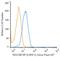 Chondroitin Sulfate Proteoglycan 4 antibody, NB100-2688AF647, Novus Biologicals, Flow Cytometry image 