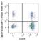 C-X3-C Motif Chemokine Receptor 1 antibody, 341626, BioLegend, Flow Cytometry image 