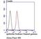 Sodium Channel Epithelial 1 Gamma Subunit antibody, NBP2-76964, Novus Biologicals, Flow Cytometry image 