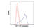 Heat Shock Transcription Factor 1 antibody, 63371S, Cell Signaling Technology, Flow Cytometry image 