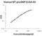 Natriuretic Peptide A antibody, EK1627, Boster Biological Technology, Enzyme Linked Immunosorbent Assay image 