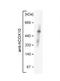 Cytochrome C Oxidase Assembly Factor Heme A:Farnesyltransferase COX10 antibody, NBP1-59554, Novus Biologicals, Western Blot image 