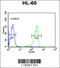 Calpain 3 antibody, 64-130, ProSci, Flow Cytometry image 