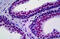 Protein Kinase, DNA-Activated, Catalytic Subunit antibody, MBS245753, MyBioSource, Immunohistochemistry frozen image 