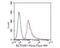 Potassium Voltage-Gated Channel Subfamily A Member Regulatory Beta Subunit 1 antibody, NBP2-80437, Novus Biologicals, Flow Cytometry image 